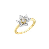 Manitoba Prairie Crocus Ring