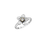 Nova Scotia Mayflower Ring
