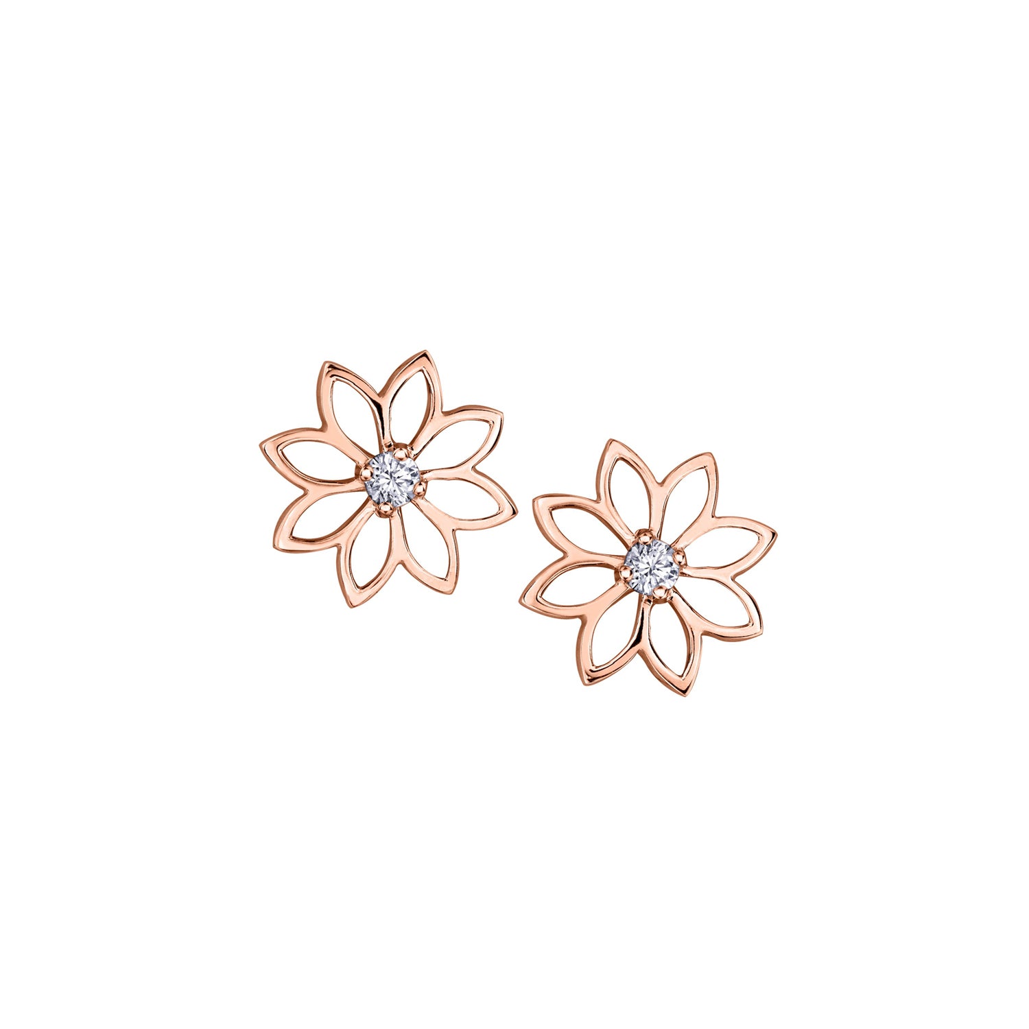 Water Lily Earrings