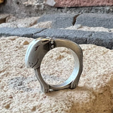 Dog ring looking out the window 