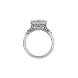 Radiant Frost Ring Sapphire Halo