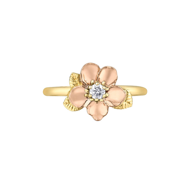 Crafted in 14KT rose and yellow Certified Canadian Gold, this ring features an Alberta wild roses set with a round brilliant-cut Canadian diamond