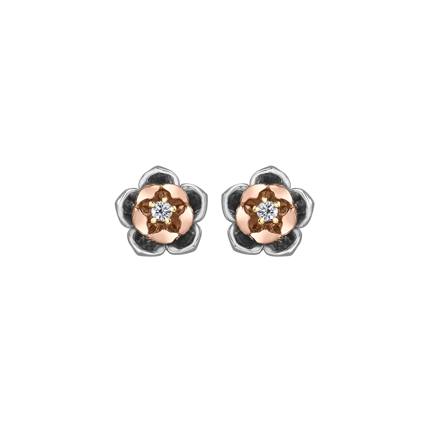 Crafted in 14KT rose and white Certified Canadian Gold, these earrings feature Newfoundland & Labrador pitcher plant flowers set with round brilliant-cut Canadian diamonds