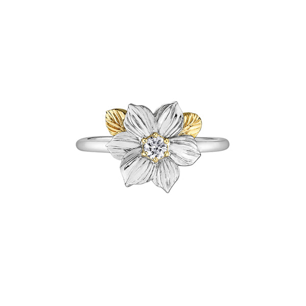 Crafted in 14KT white and yellow Certified Canadian Gold, this ring features a British Columbia dogwood flower set with a round brilliant-cut Canadian diamond
