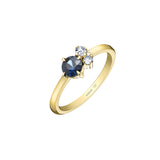 Wild Trio Blue Sapphire Ring